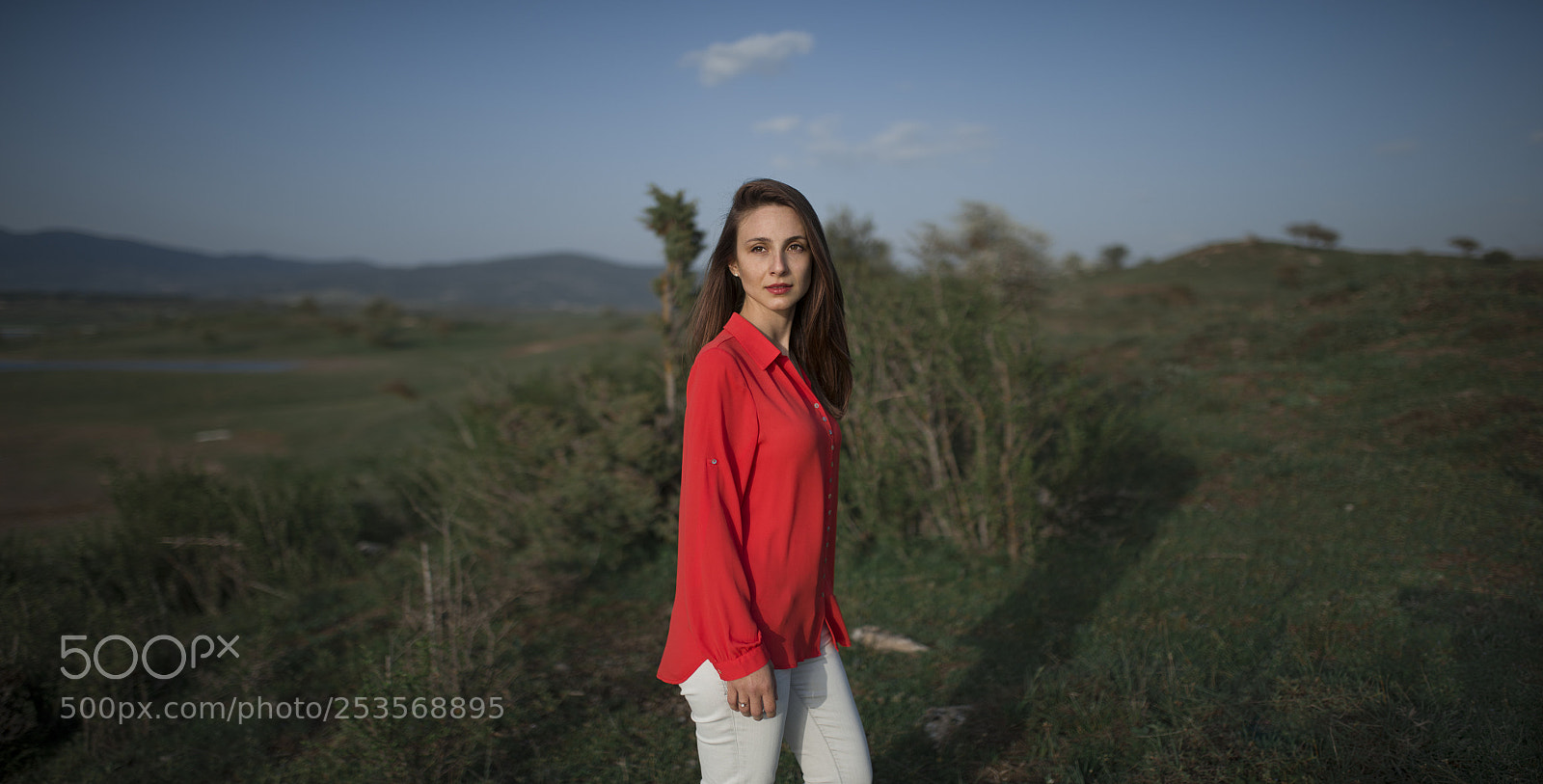 Nikon D810 sample photo. Untitled photography