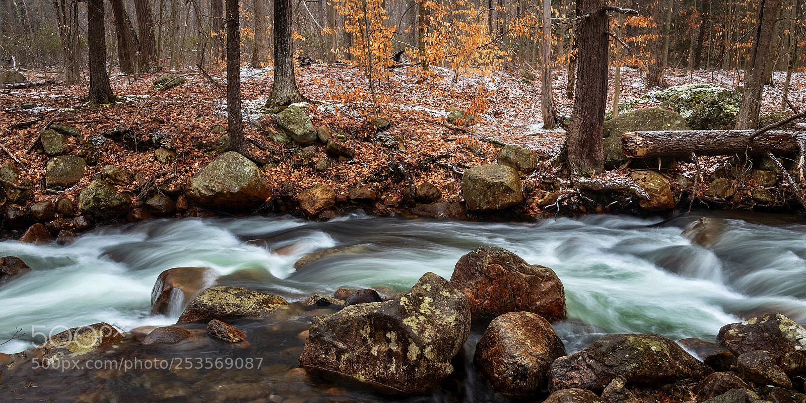 Nikon D850 sample photo. Stream and forest, harriman photography