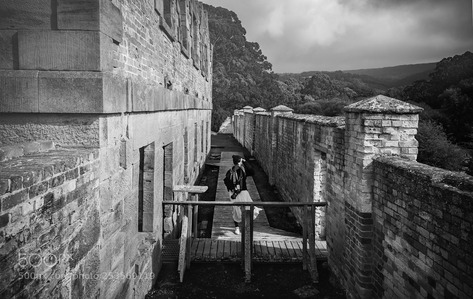 Nikon D850 sample photo. Wall photography