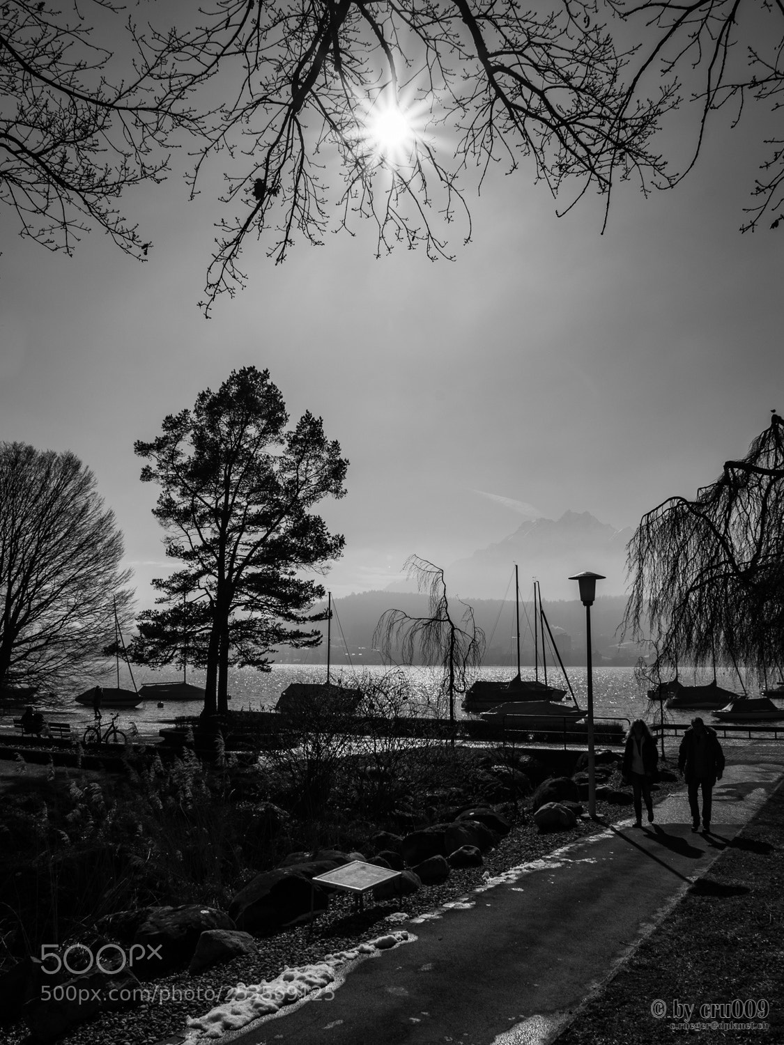 Nikon D610 sample photo. Luzern - winter at photography