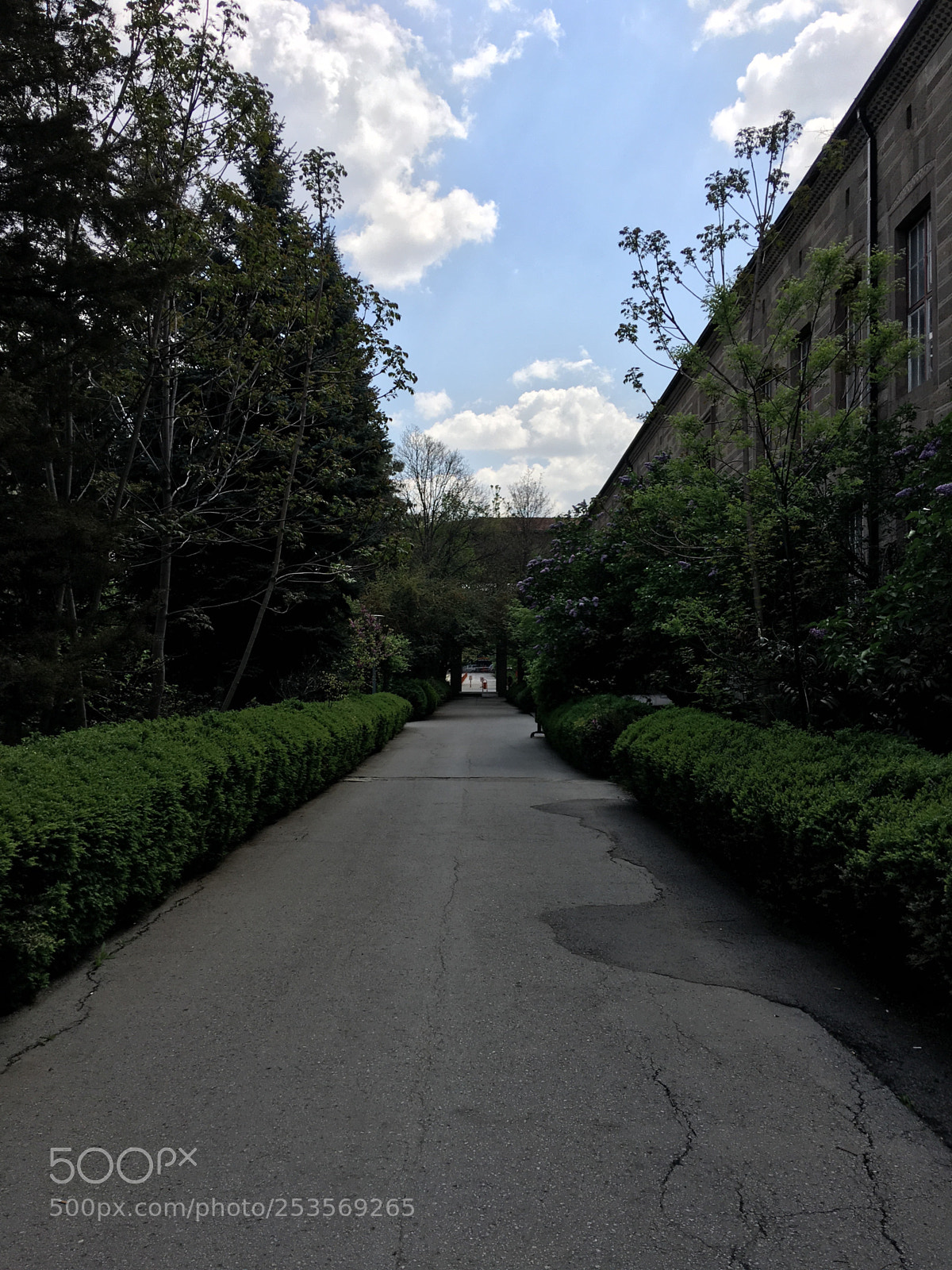 Apple iPhone 6s Plus sample photo. Ankara science faculty photography