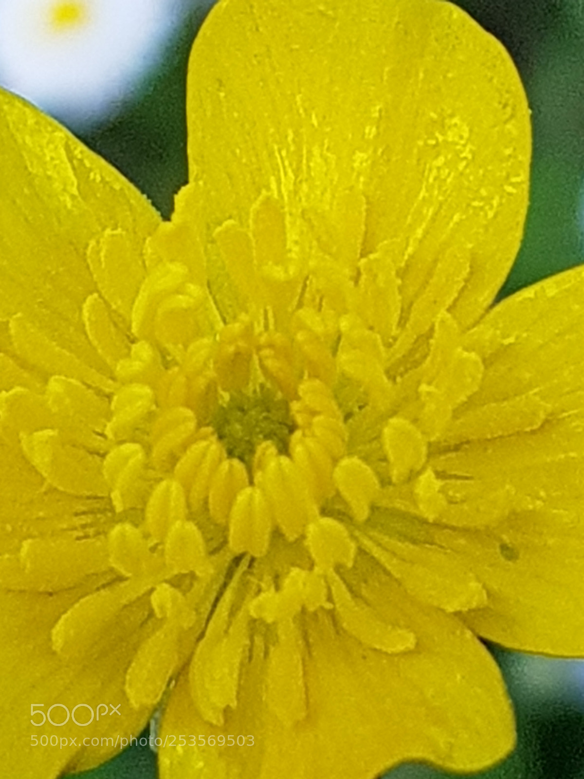 Samsung Galaxy S8 sample photo. Untitled photography