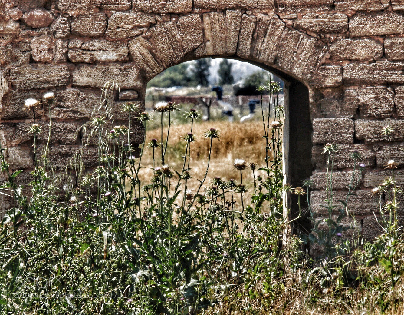 Canon EOS 80D sample photo. Untitled photography