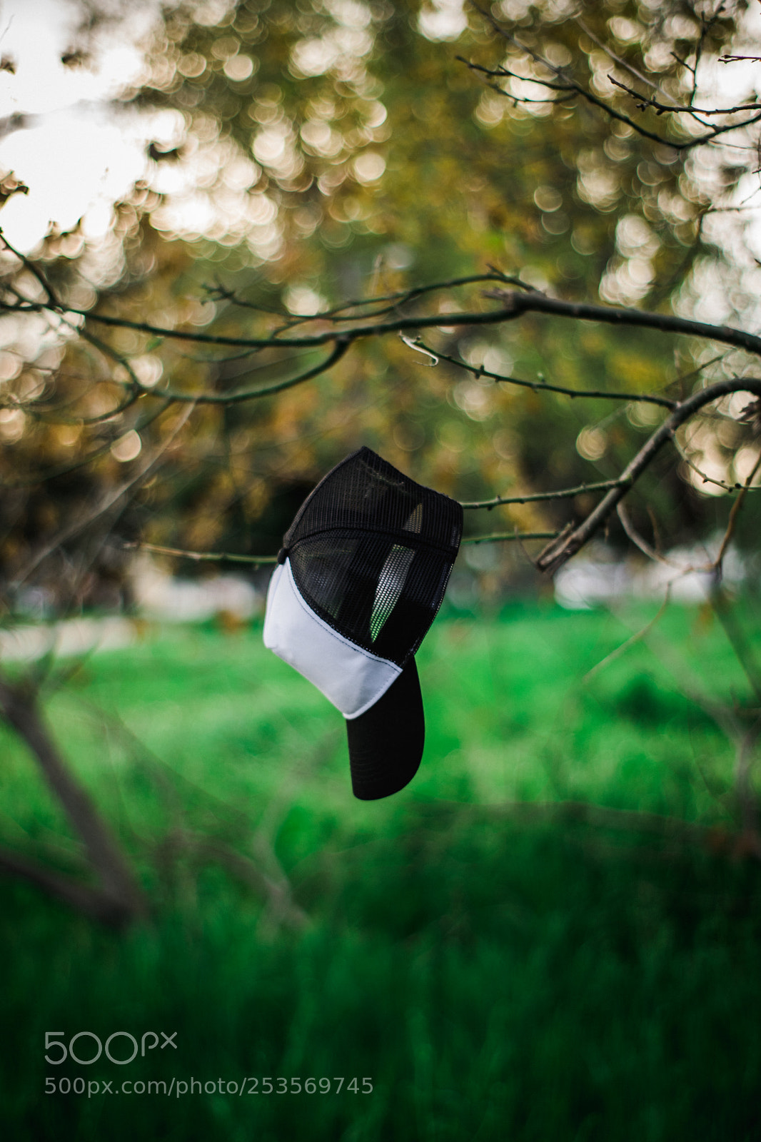 Nikon D5300 sample photo. Abandoned hipster hat photography