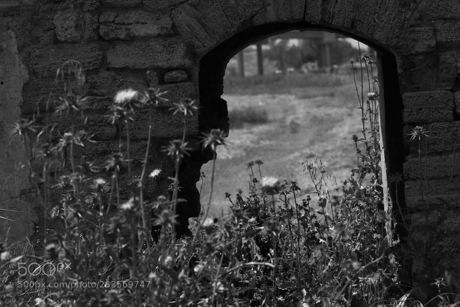 Canon EOS 80D sample photo. Untitled photography