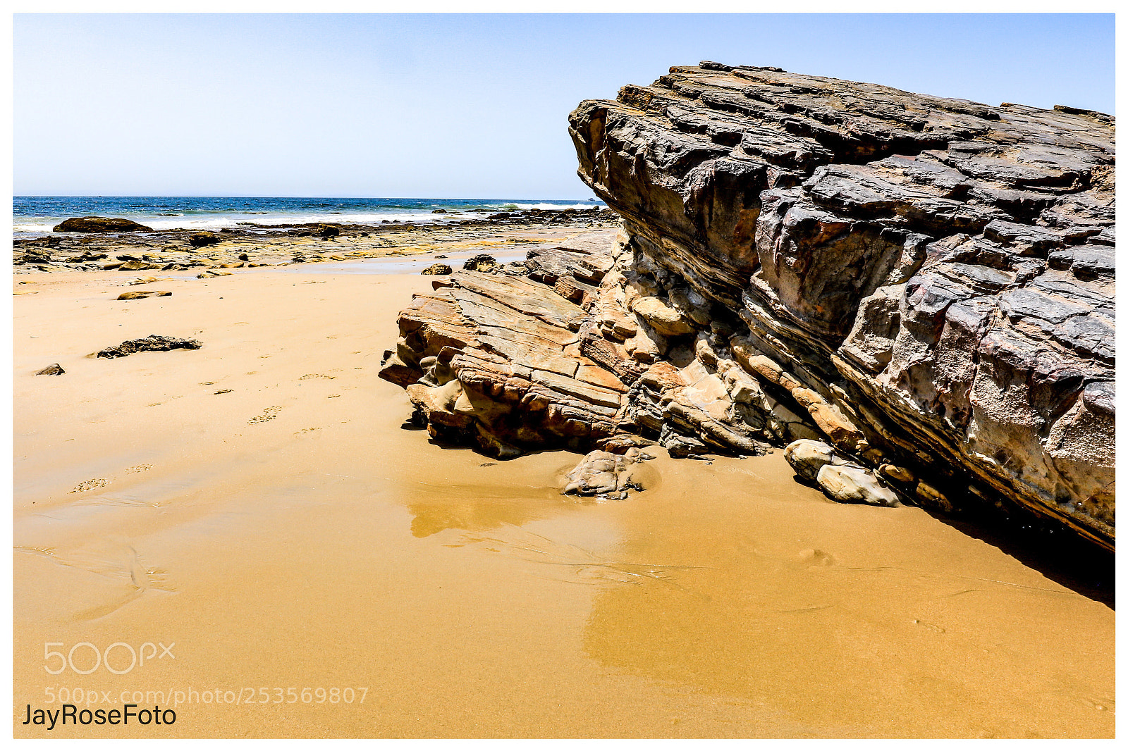 Canon EOS 5DS R sample photo. A whale surfaced from photography