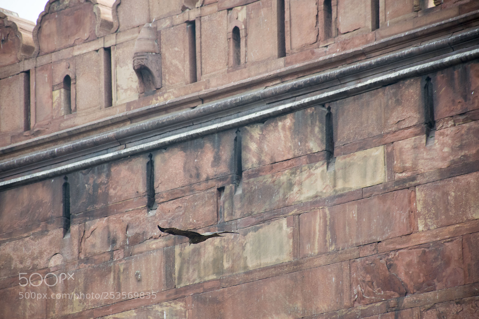 Nikon D5300 sample photo. Wall of red fort photography