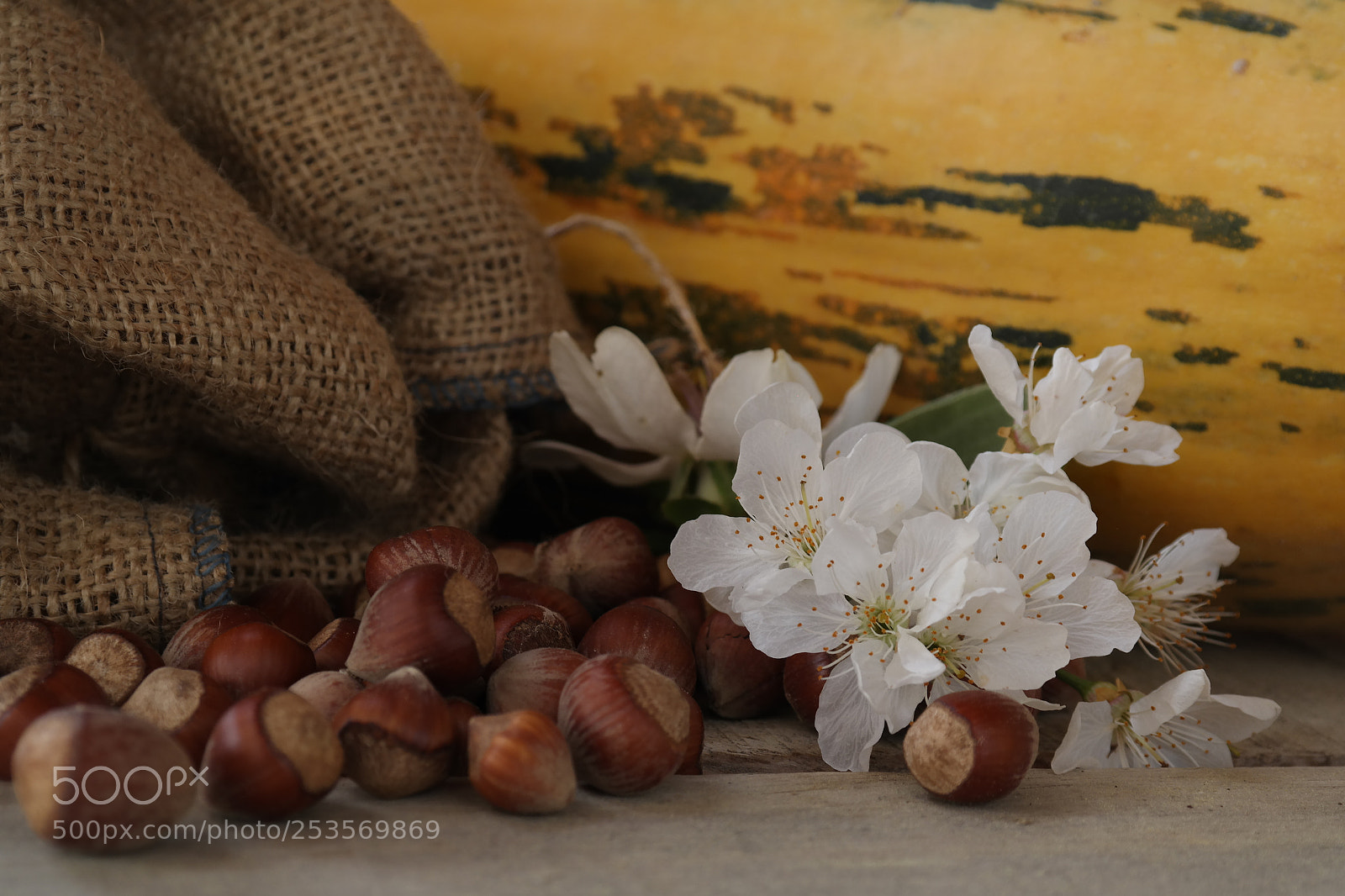 Samsung NX30 sample photo. Untitled photography