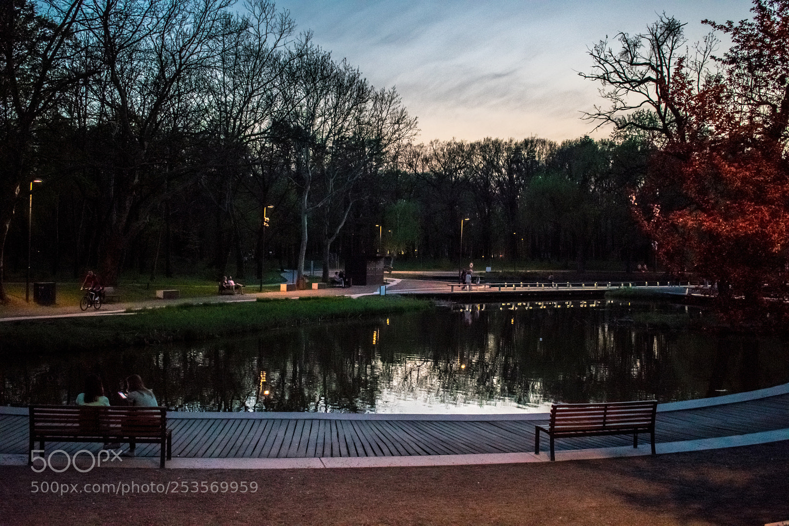 Nikon D3400 sample photo. Great forest of debrecen photography
