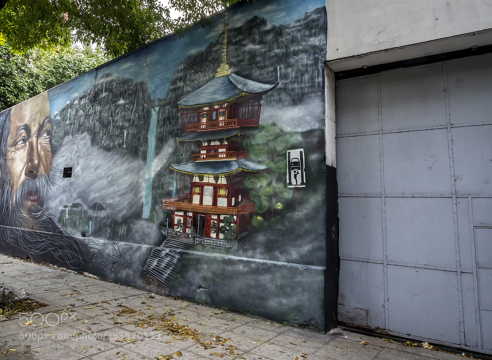Olympus OM-D E-M1 sample photo. Mural oriental photography
