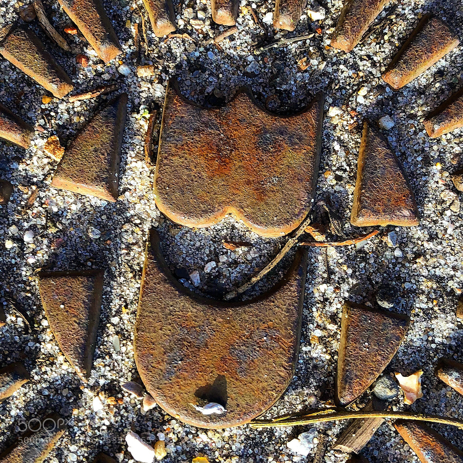 Apple iPhone 8 Plus sample photo. Rust is art photography