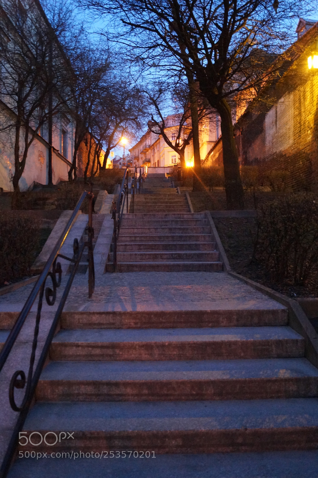 Sony SLT-A58 sample photo. The stairs to the photography
