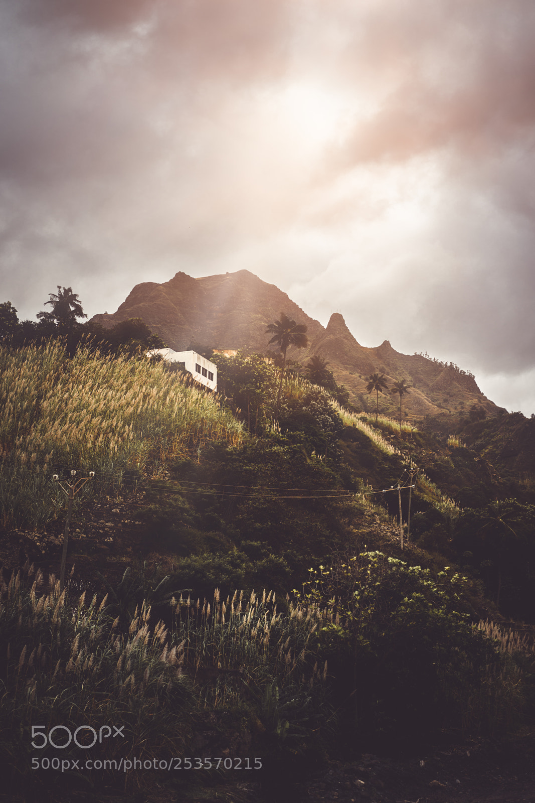 Sony a7 II sample photo. Small house nestled into photography
