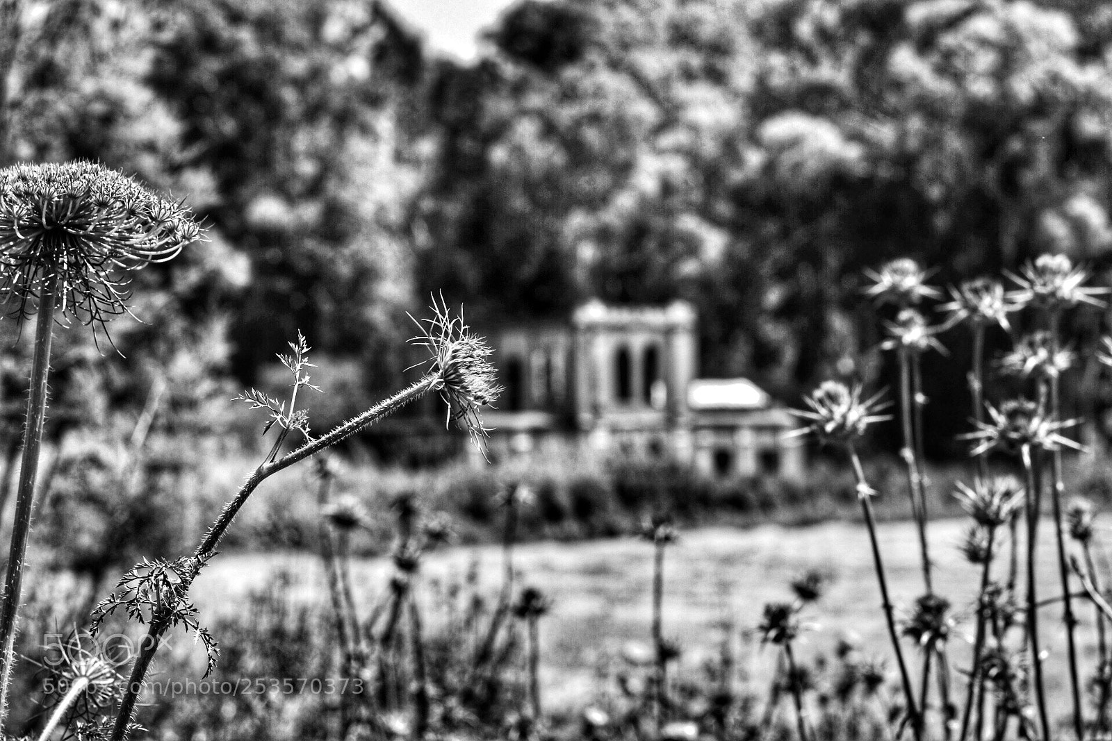Canon EOS 80D sample photo. Untitled photography