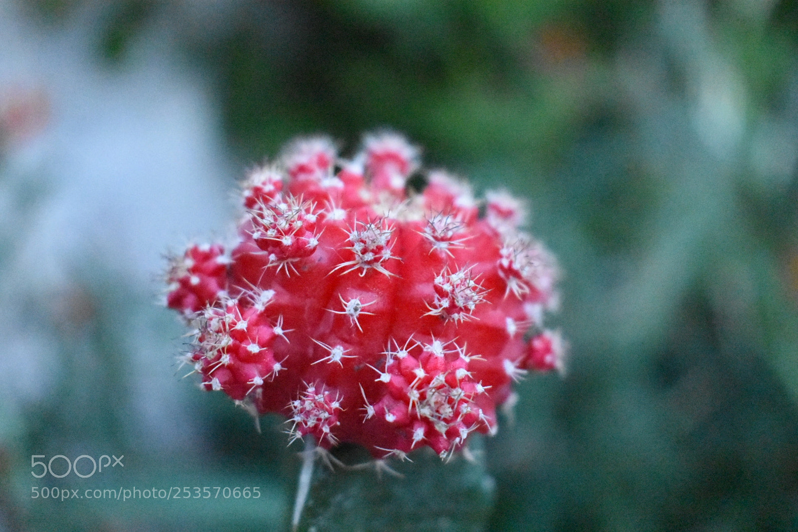 Nikon D3400 sample photo. Punto local. photography