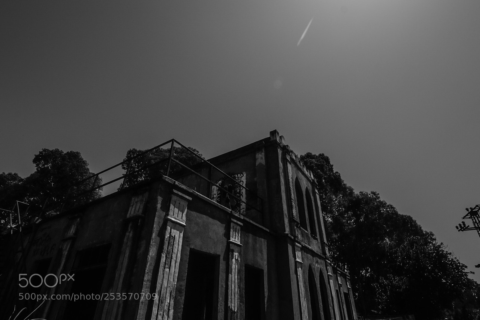 Canon EOS 80D sample photo. Untitled photography