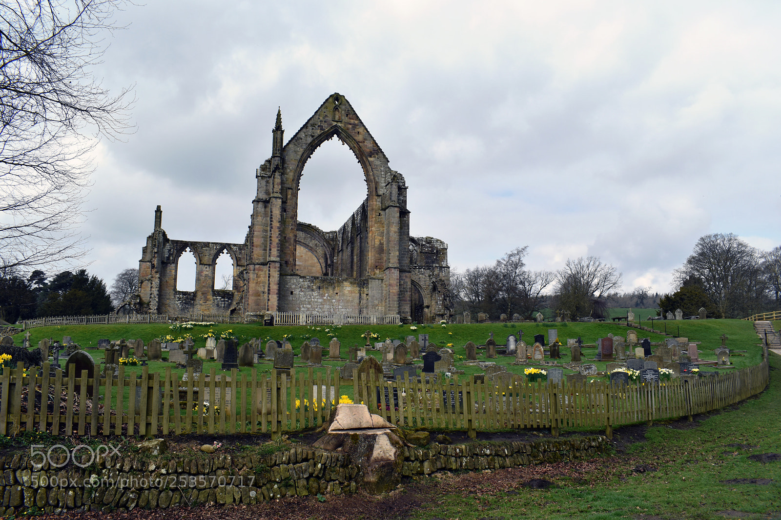 Nikon D5500 sample photo. Bolton abby one photography