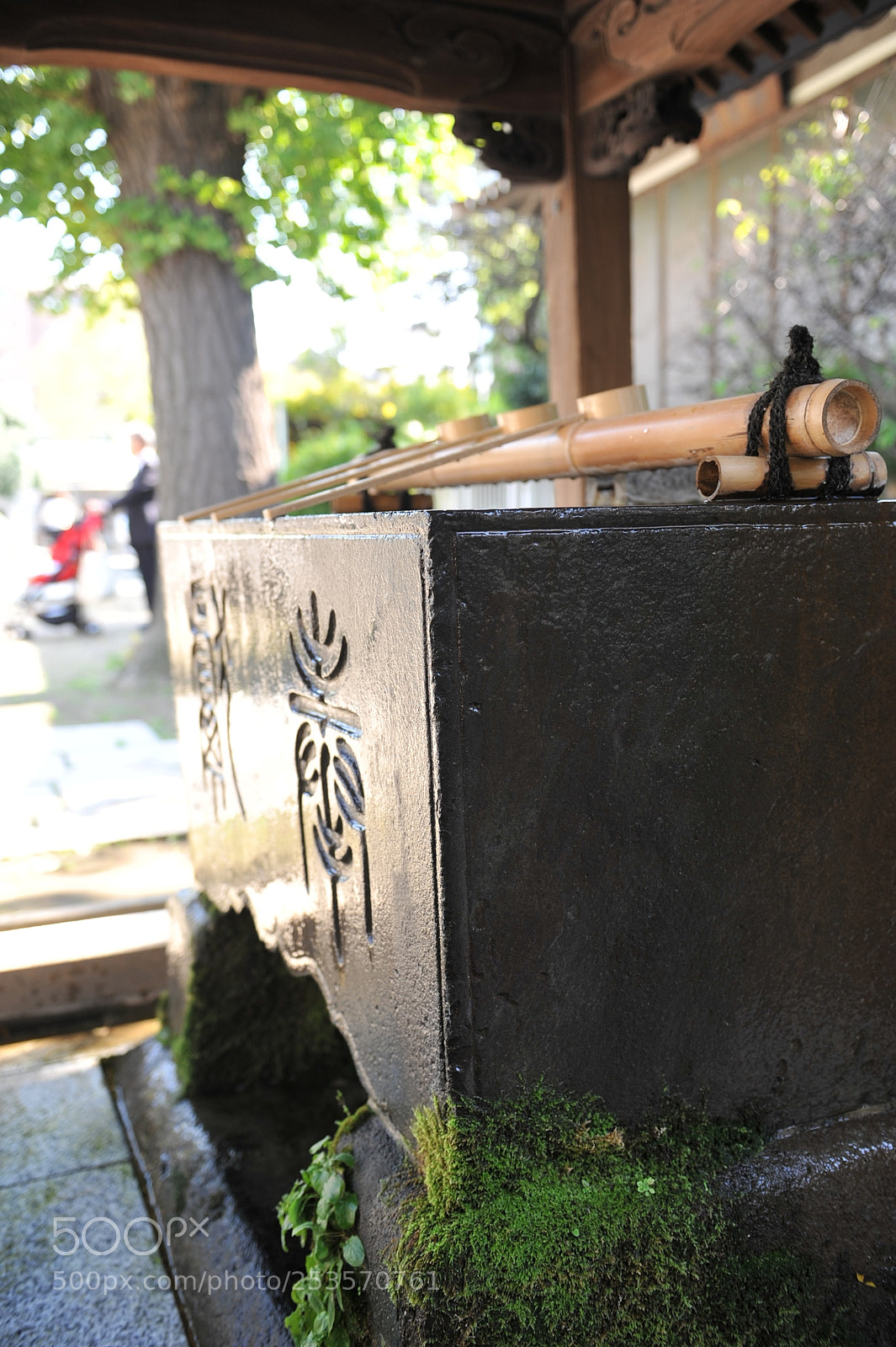Nikon D700 sample photo. Untitled photography