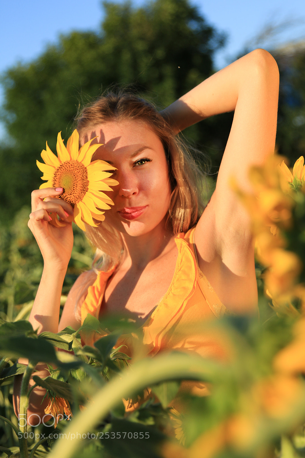 Canon EOS 70D sample photo. Sunflower portrait photography