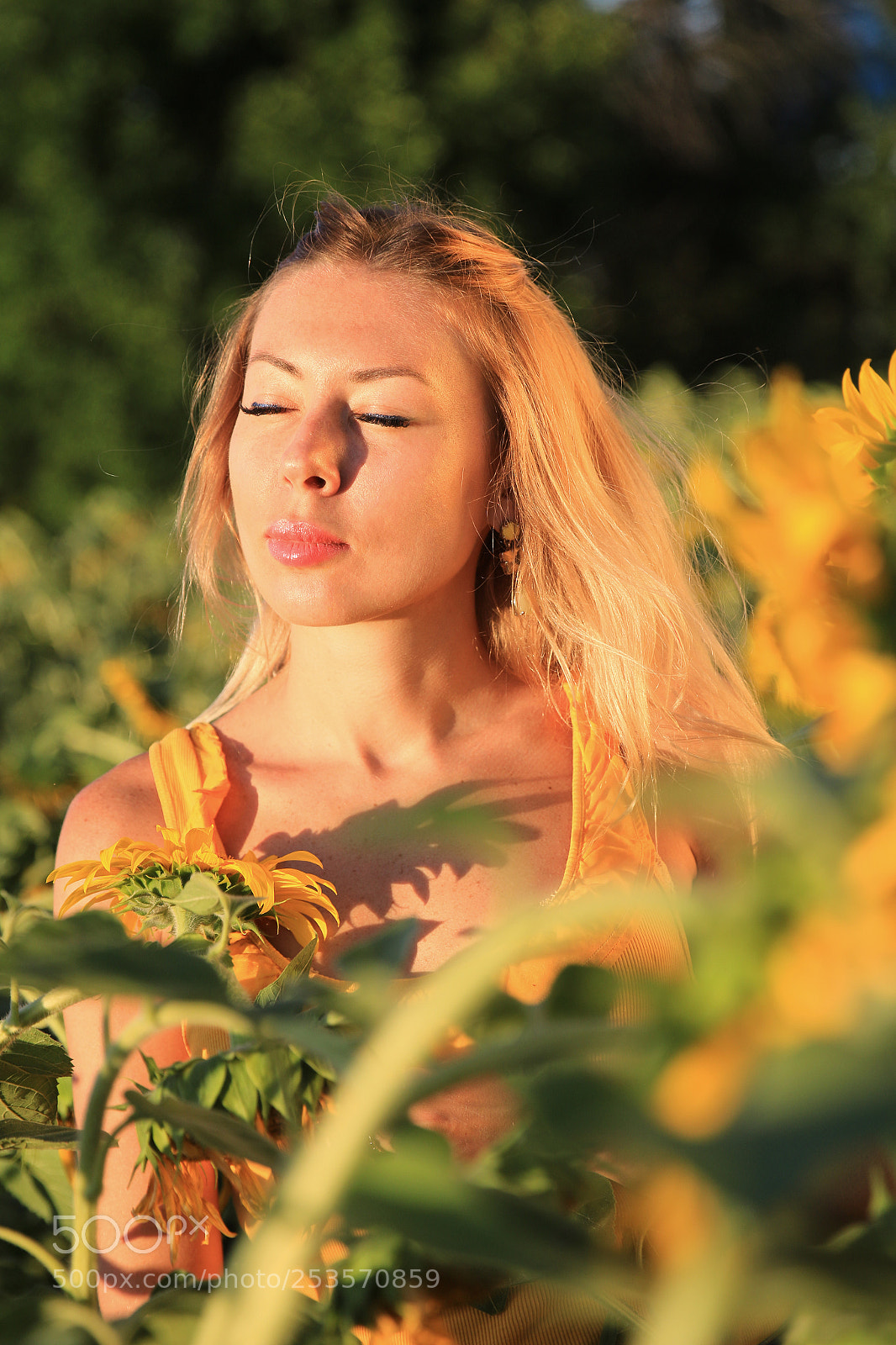 Canon EOS 70D sample photo. Sunflower portrait photography