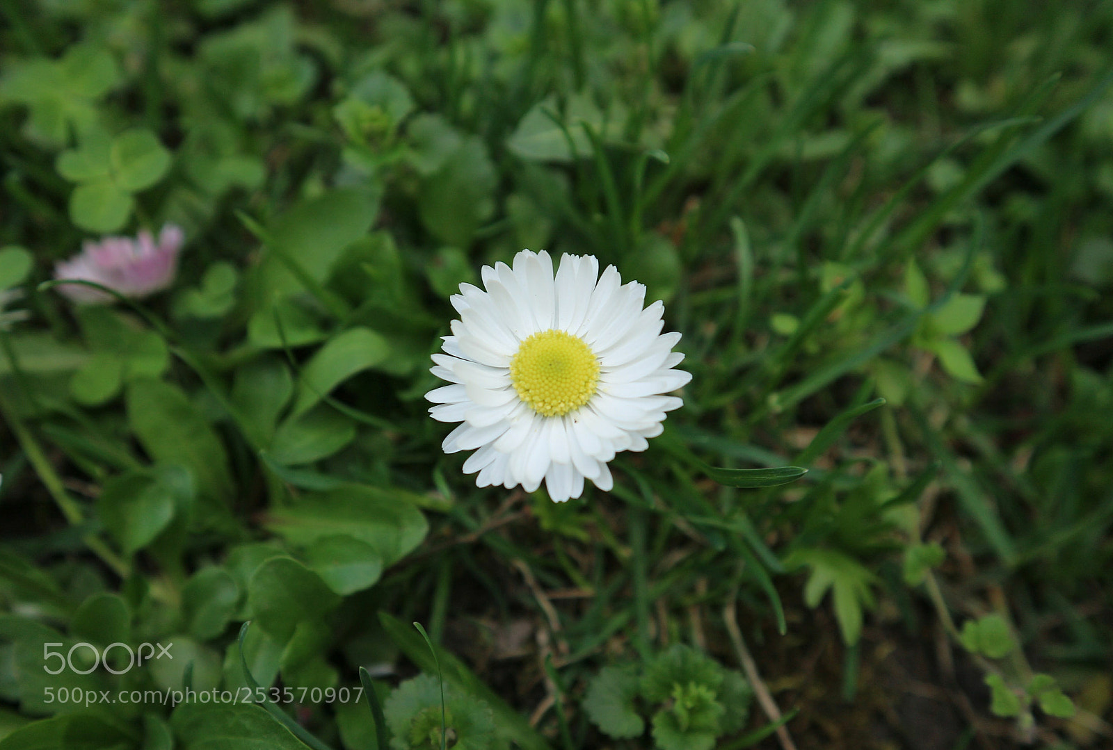 Canon EOS M10 sample photo. Untitled photography