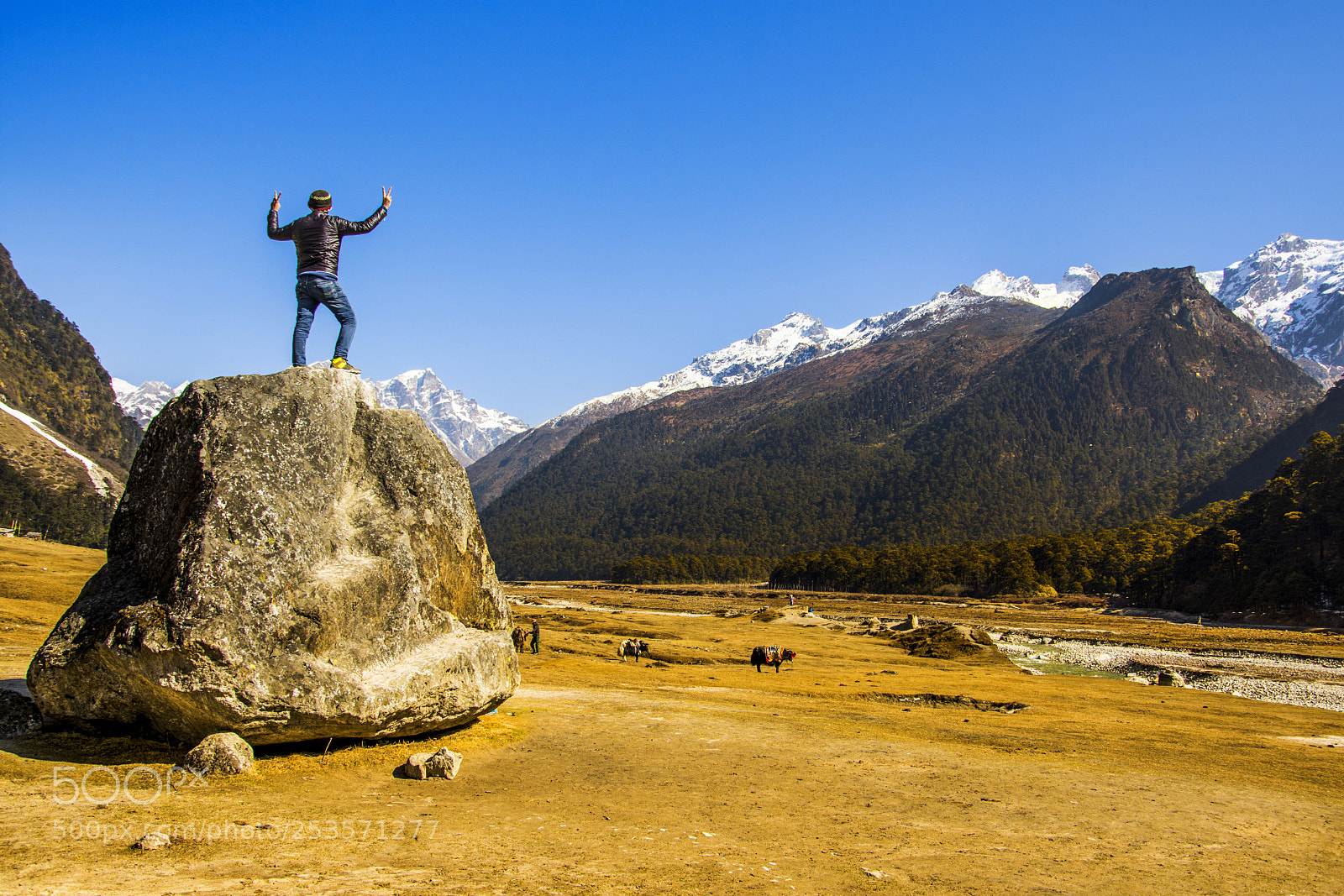 Nikon D7200 sample photo. Victory photography