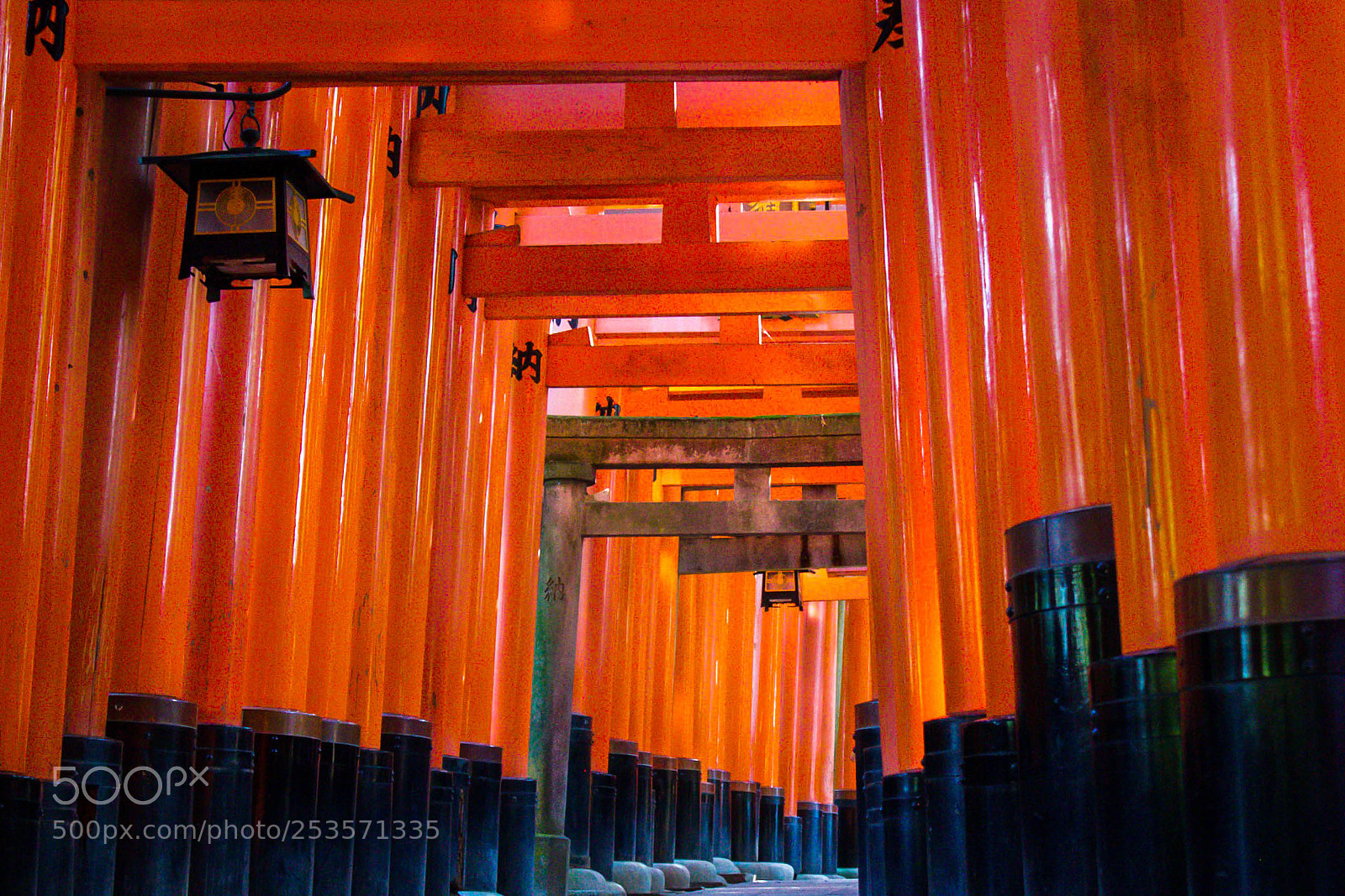 Canon EOS 60D sample photo. Fushimiinari temple in kyoto photography