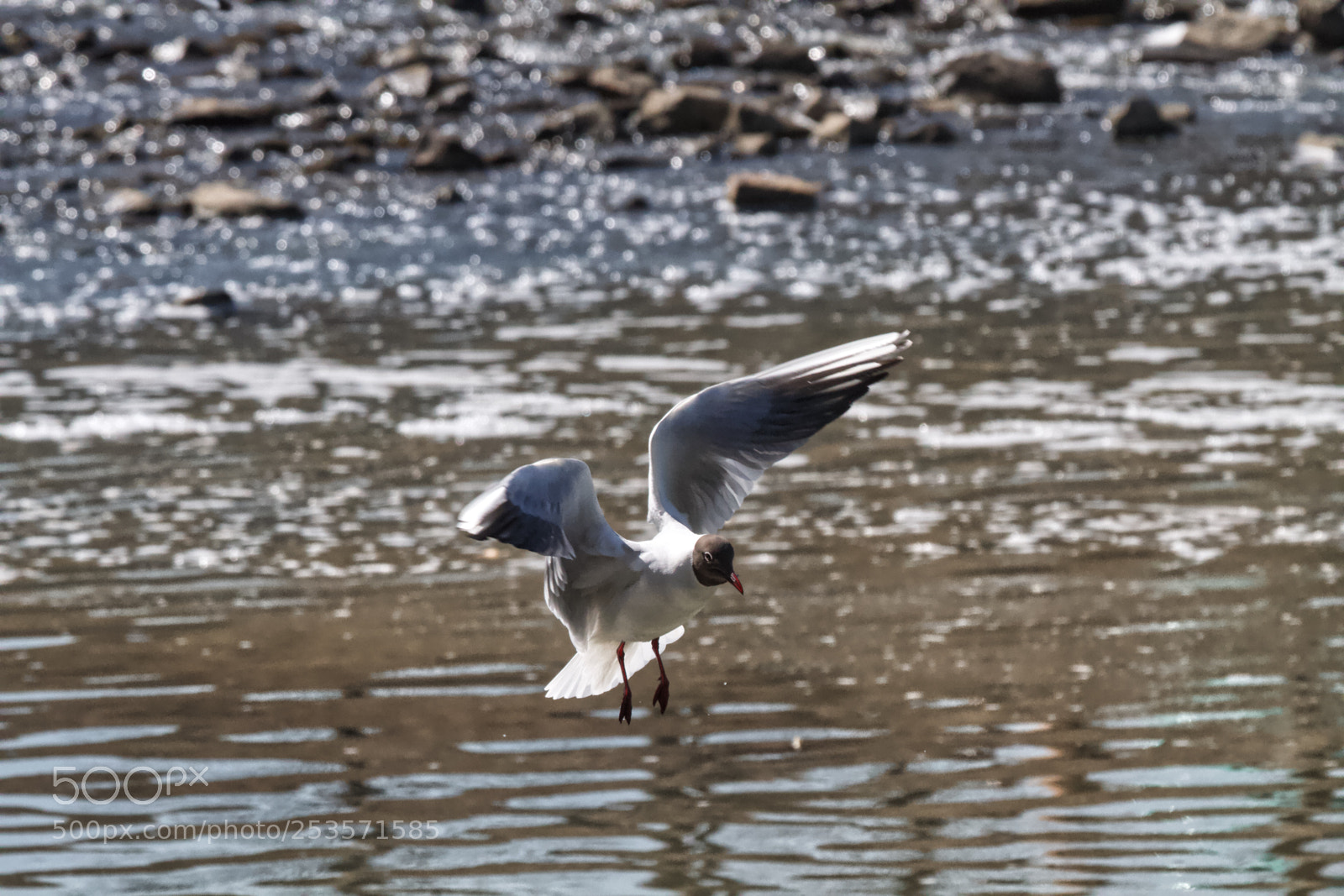 Canon EOS 7D sample photo. Untitled photography