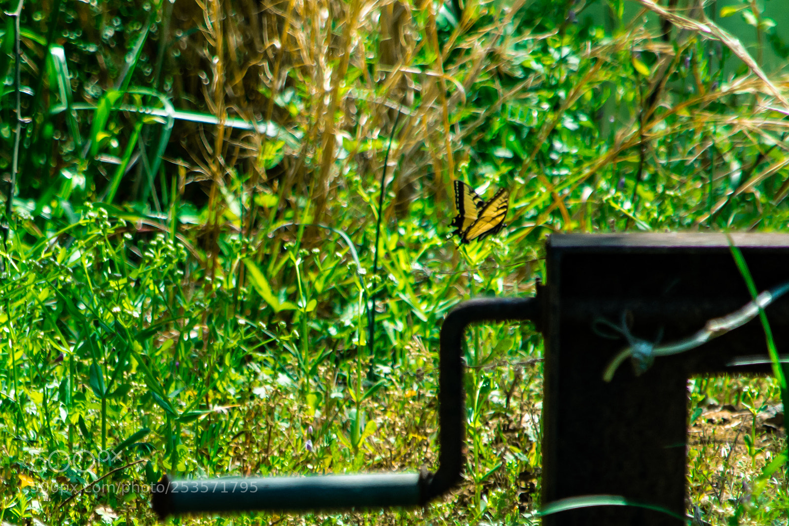 Nikon D7200 sample photo. In flight photography