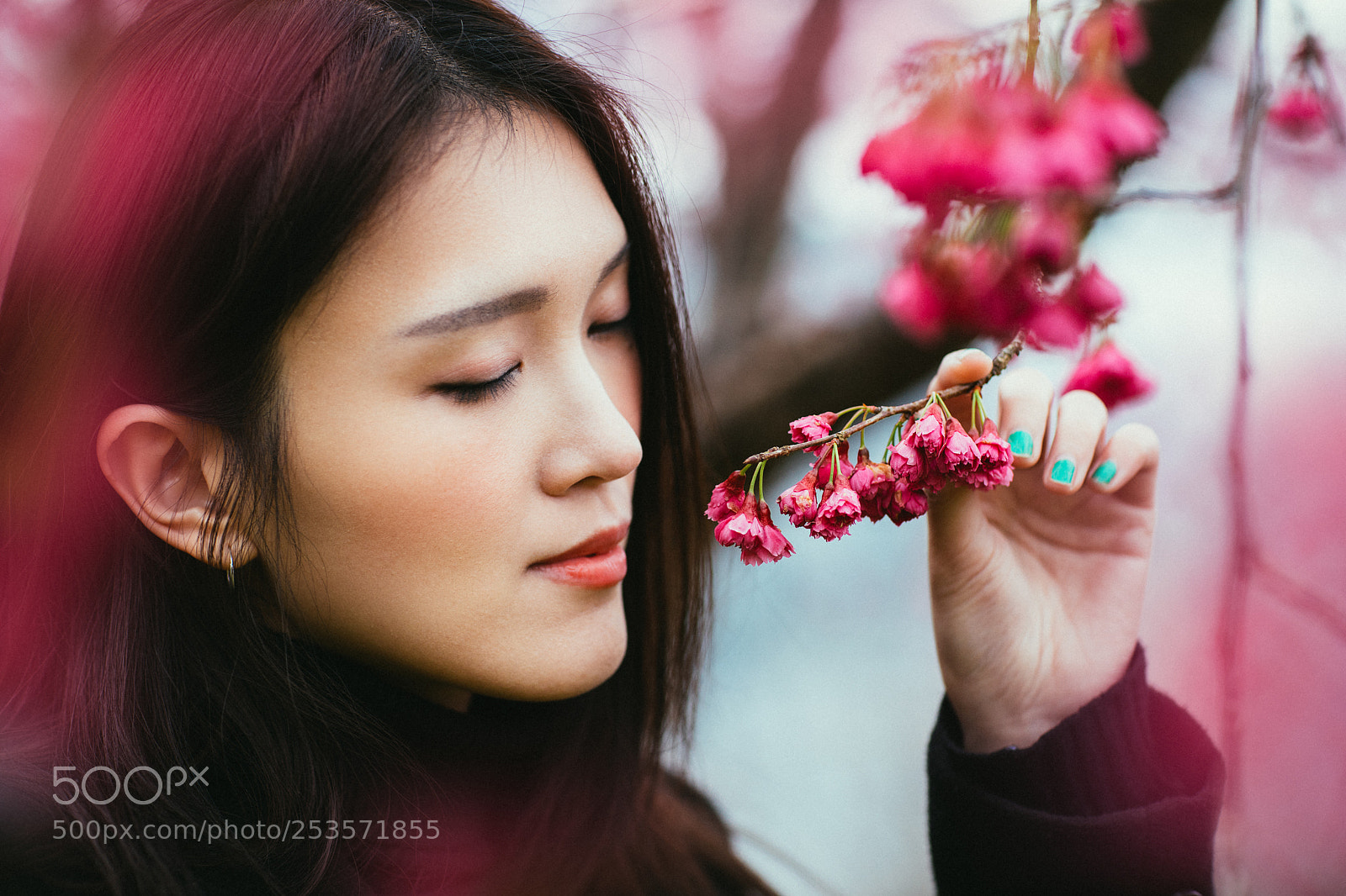 Canon EOS 5D Mark IV sample photo. Flower dreams photography