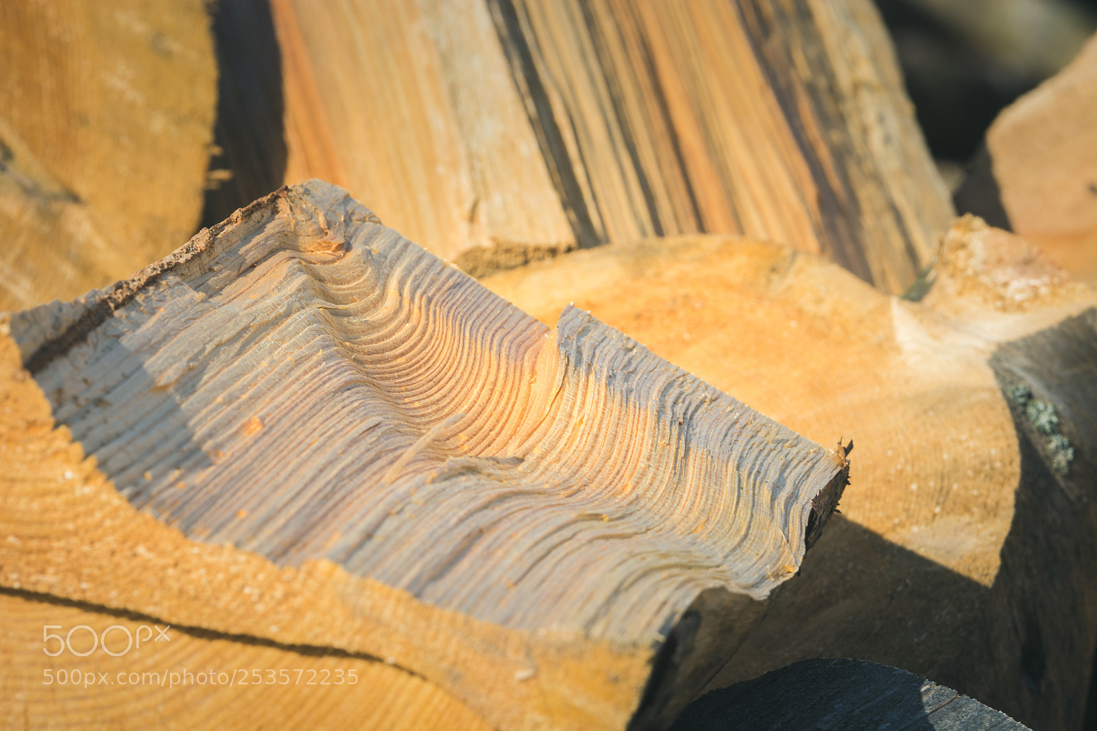 Nikon D5200 sample photo. Chopped wood photography