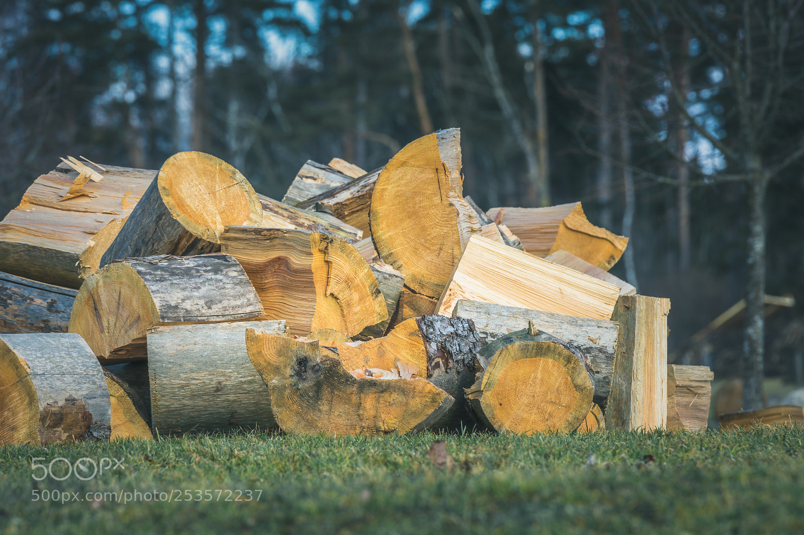 Nikon D5200 sample photo. Chopped wood photography