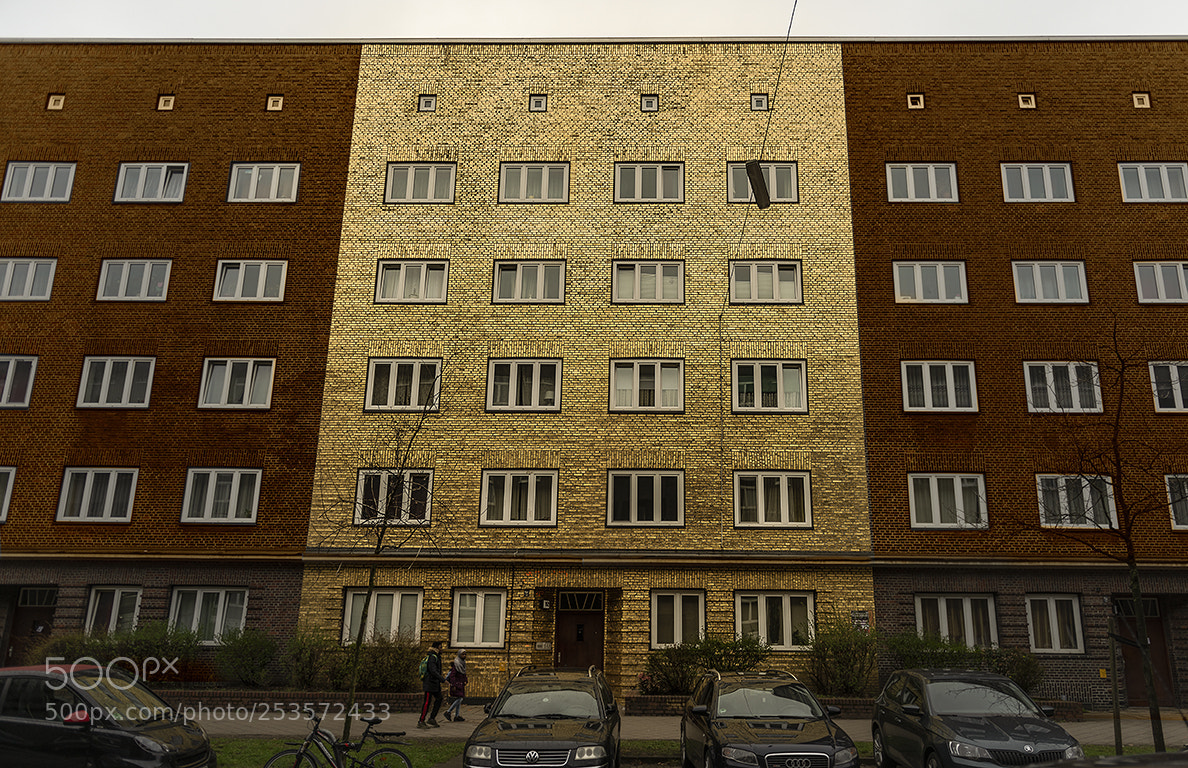Nikon D810 sample photo. Golden cut photography