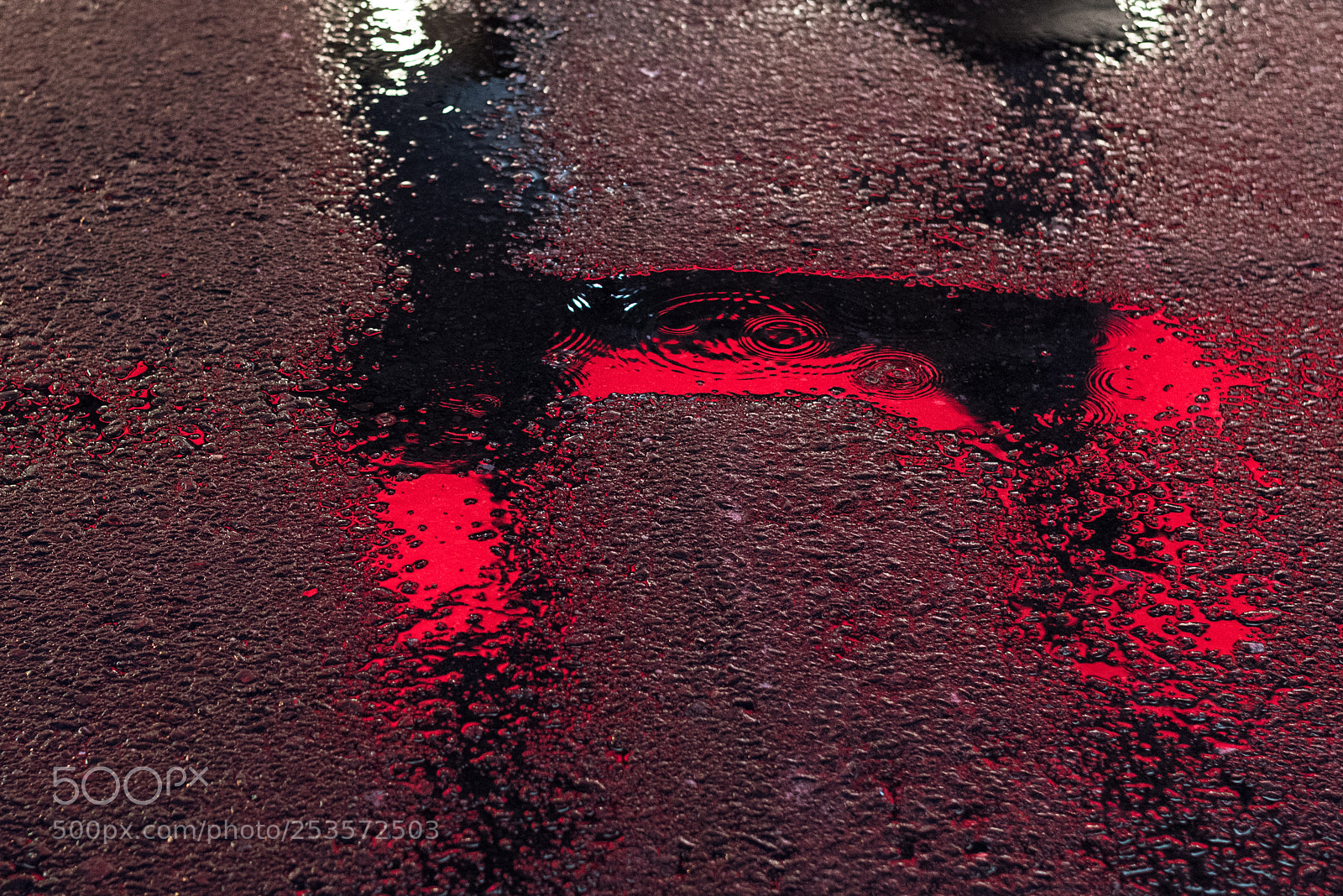 Nikon D810 sample photo. The "h" photography