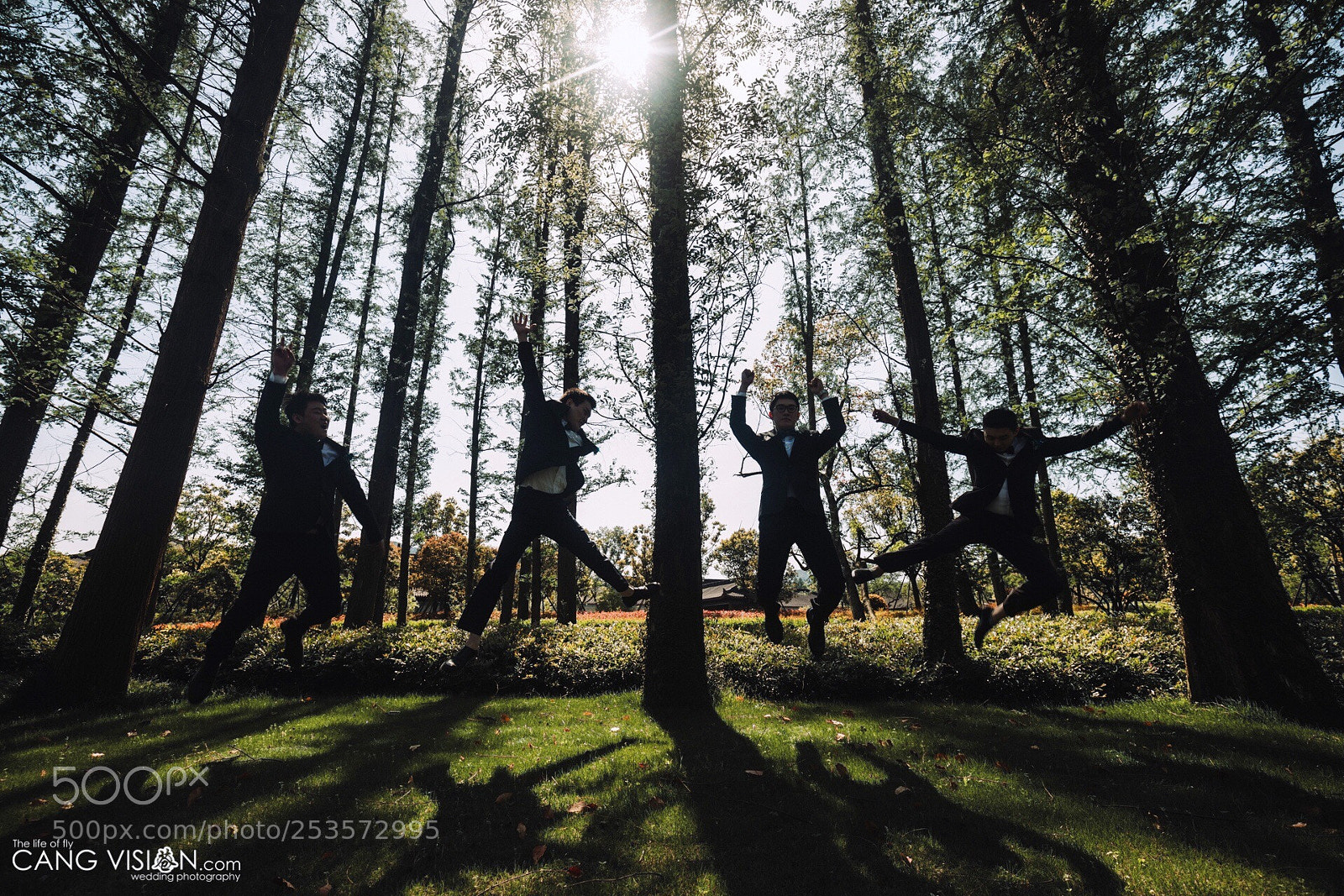 Canon EOS 5D Mark IV sample photo. Untitled photography