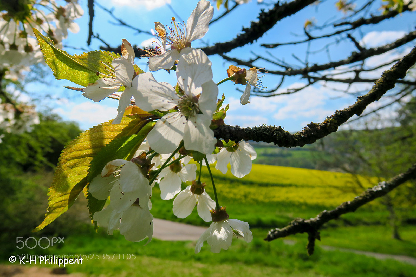 Canon PowerShot G3 X sample photo. Nordhessen germany , the photography