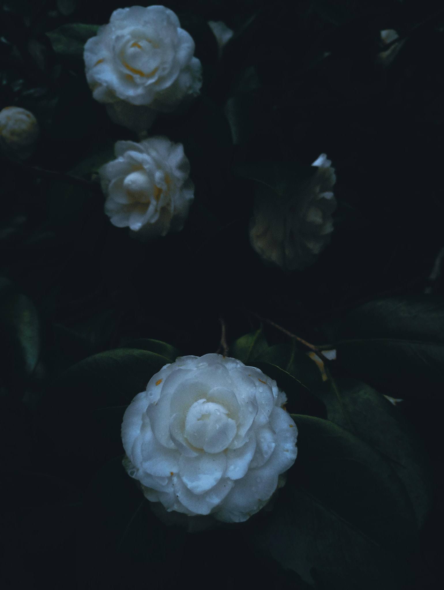 Meizu M3X sample photo