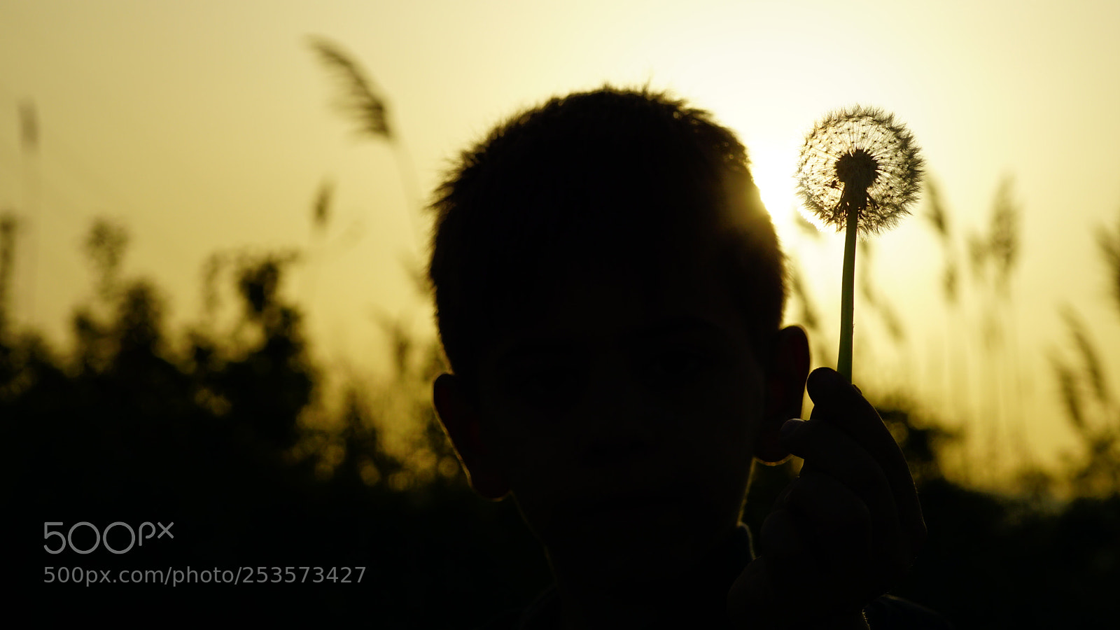 Sony a6000 sample photo. Boy photography