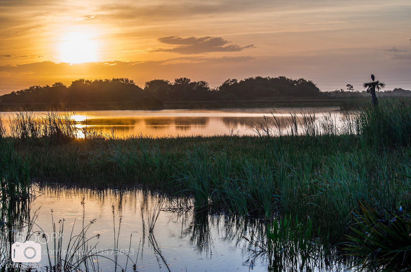 Pentax K-30 sample photo. Sunrise over the wetlands photography