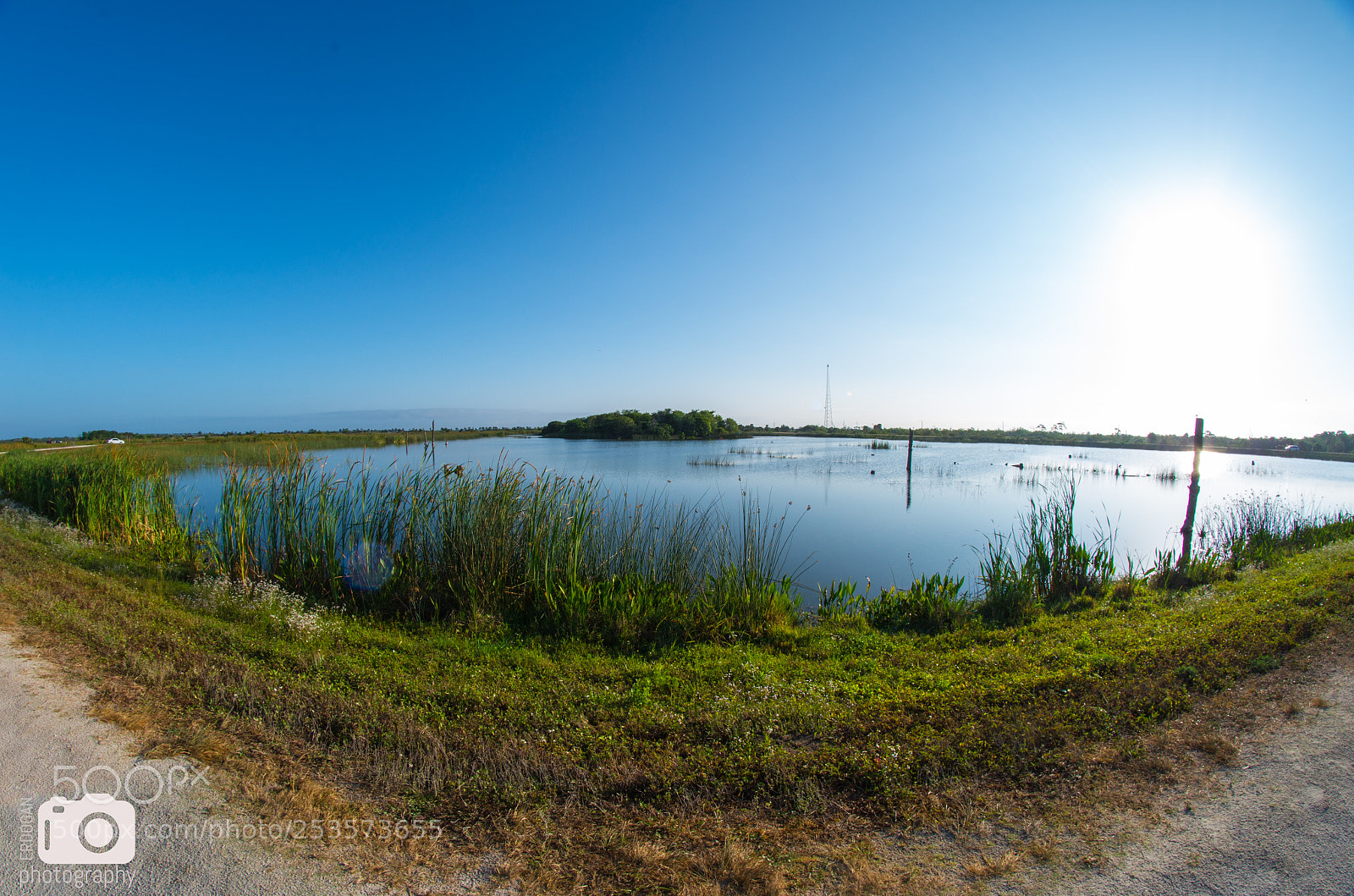 Pentax K-30 sample photo. Fisheye view of the photography