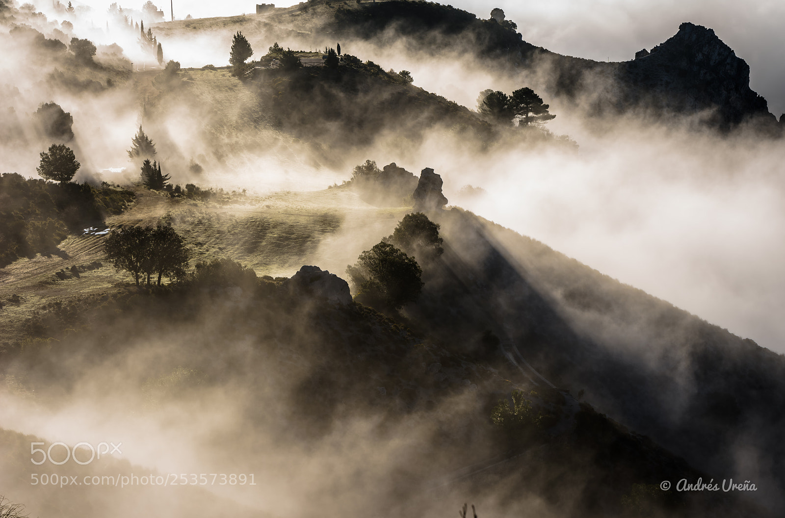 Nikon D810 sample photo. Fog in the mountains photography