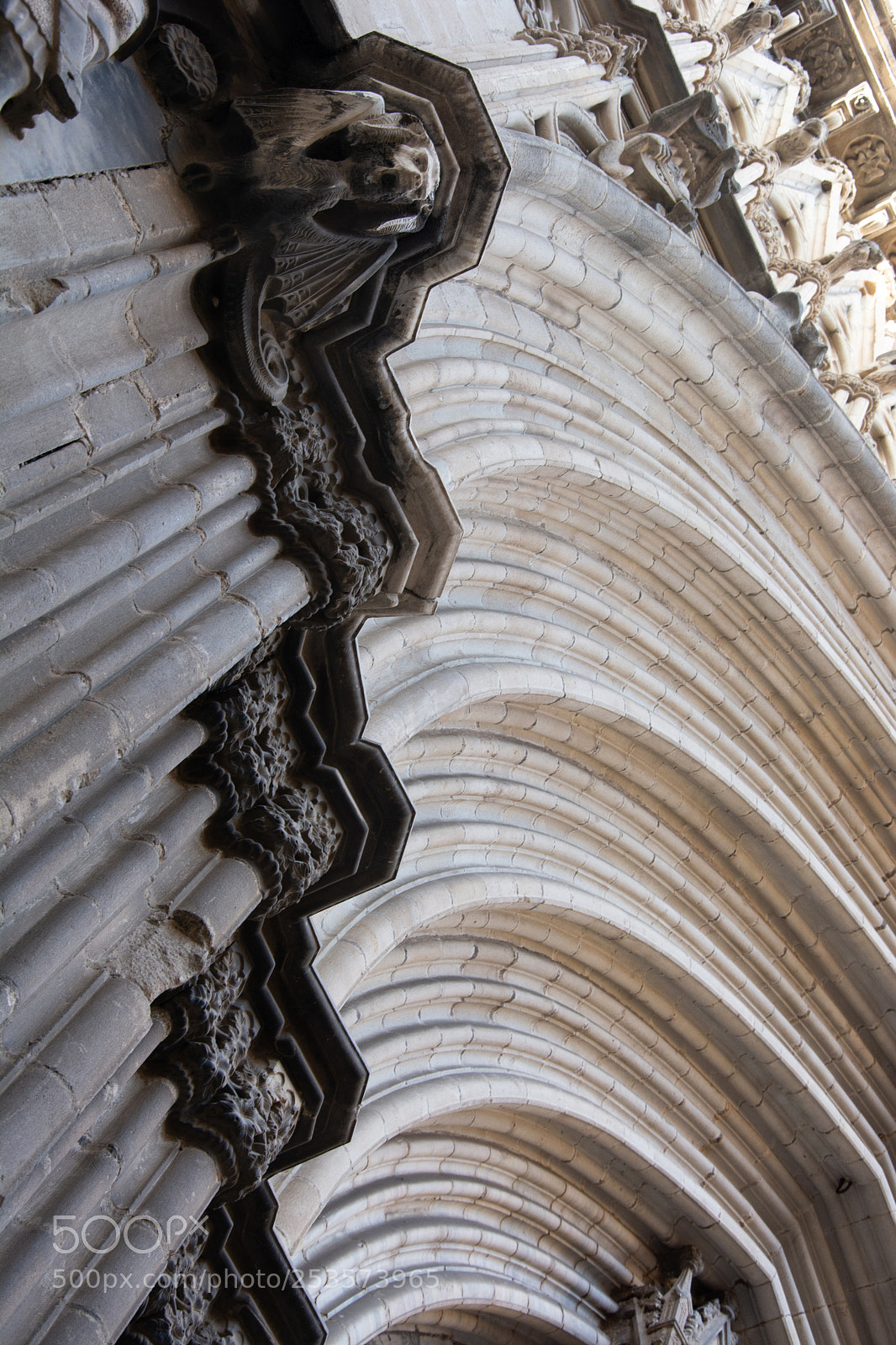 Nikon D7100 sample photo. Reps 2 photography