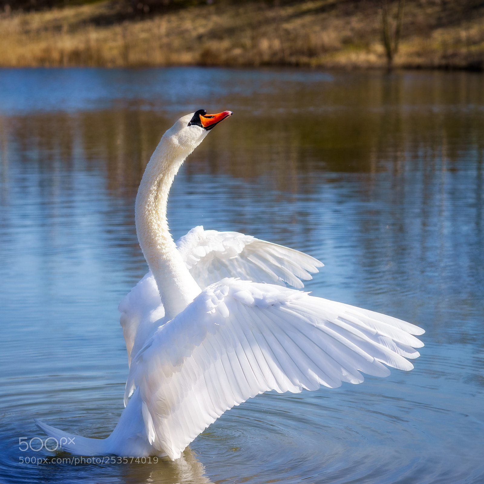Sony a7 sample photo. Territorial display photography