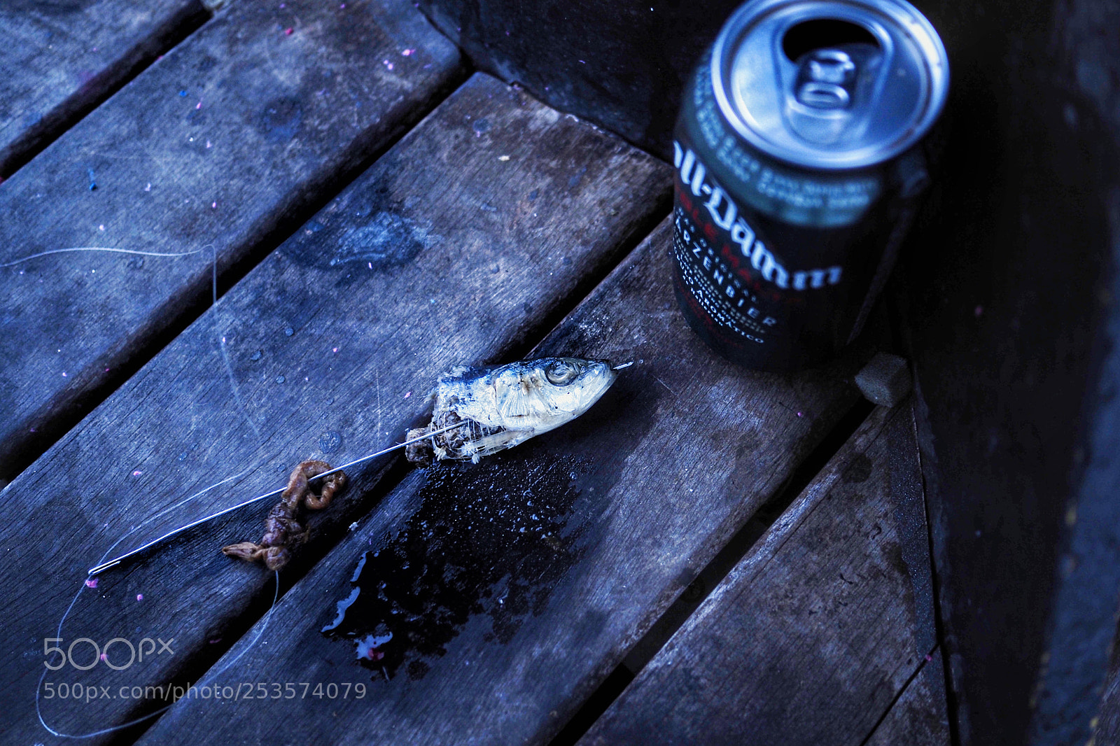 Olympus PEN-F sample photo. Untitled photography