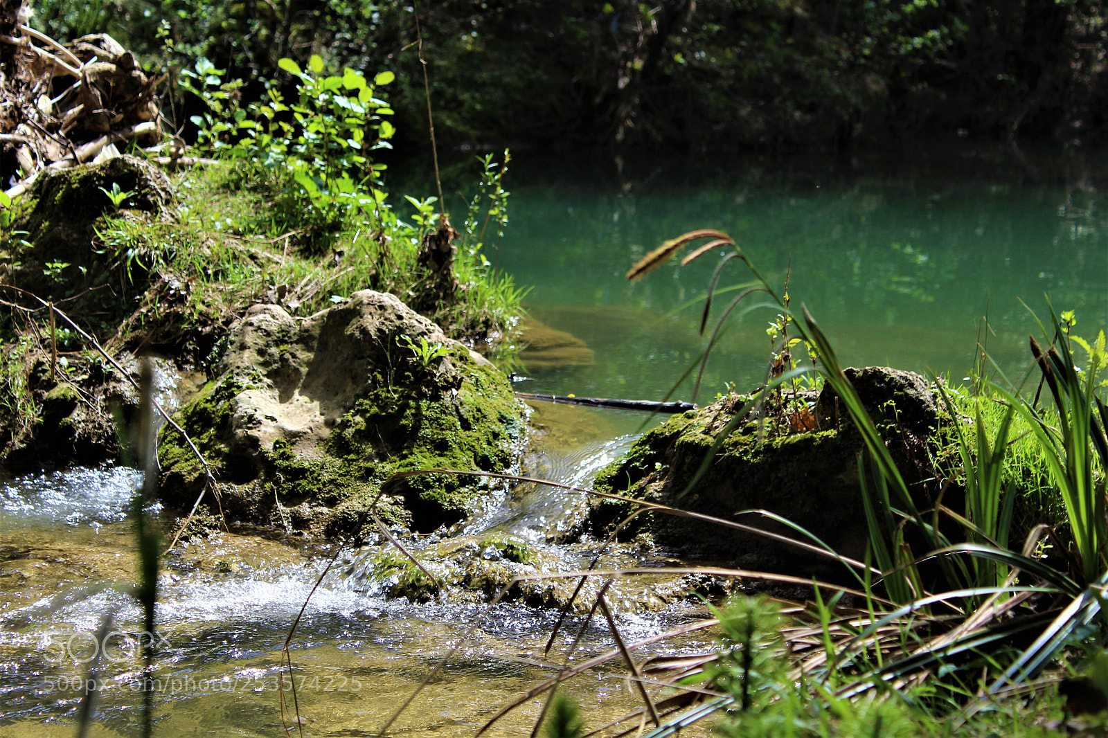 Canon EOS 1300D (EOS Rebel T6 / EOS Kiss X80) sample photo. River photography