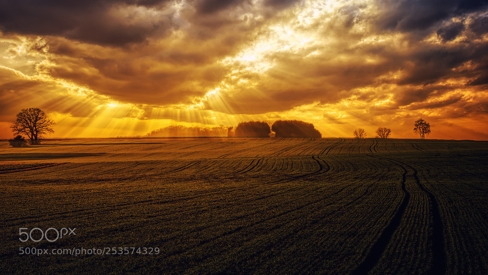 Sony a7 sample photo. Cloudy sunset fields photography
