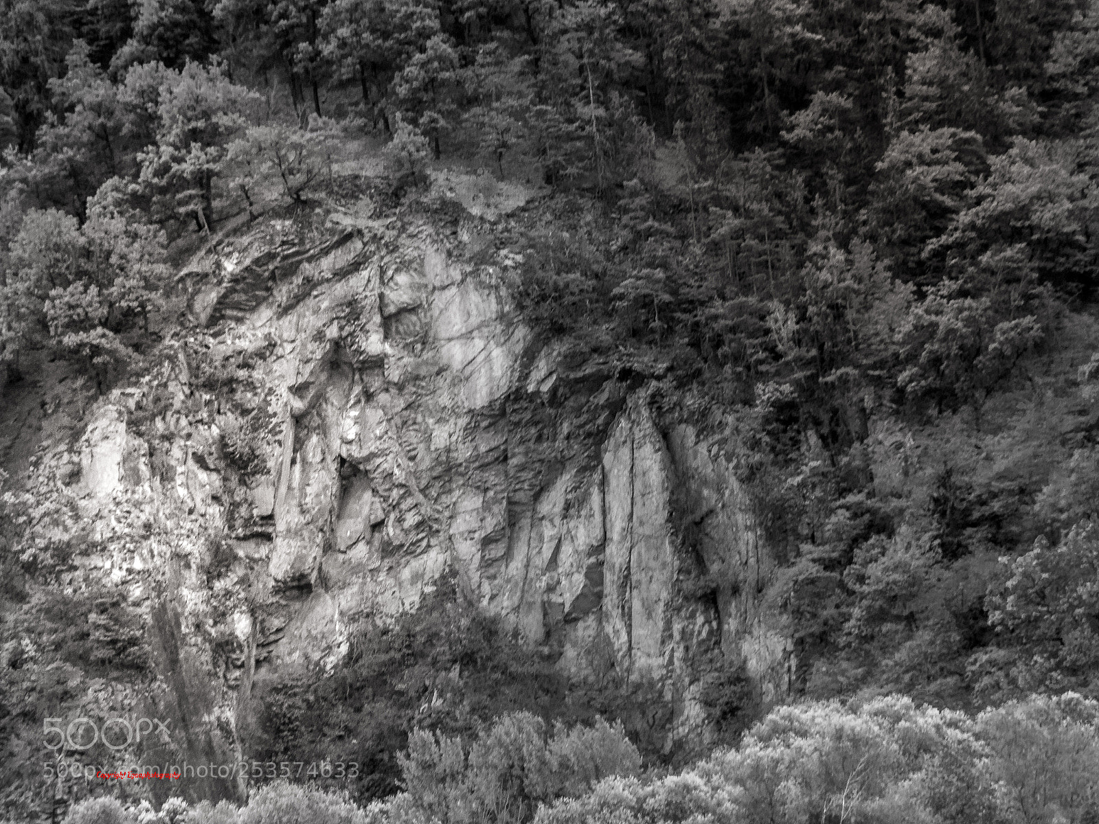 Canon EOS 760D (EOS Rebel T6s / EOS 8000D) sample photo. Wachrau photography