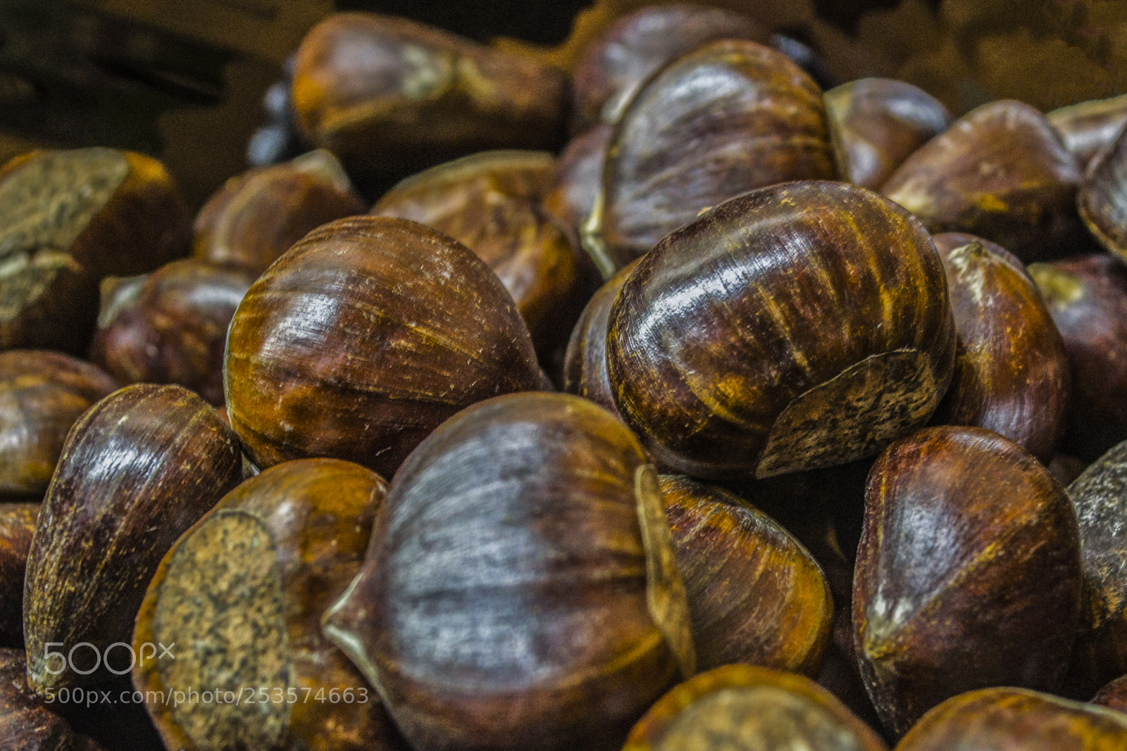 Nikon D3100 sample photo. Close-up of many edible photography