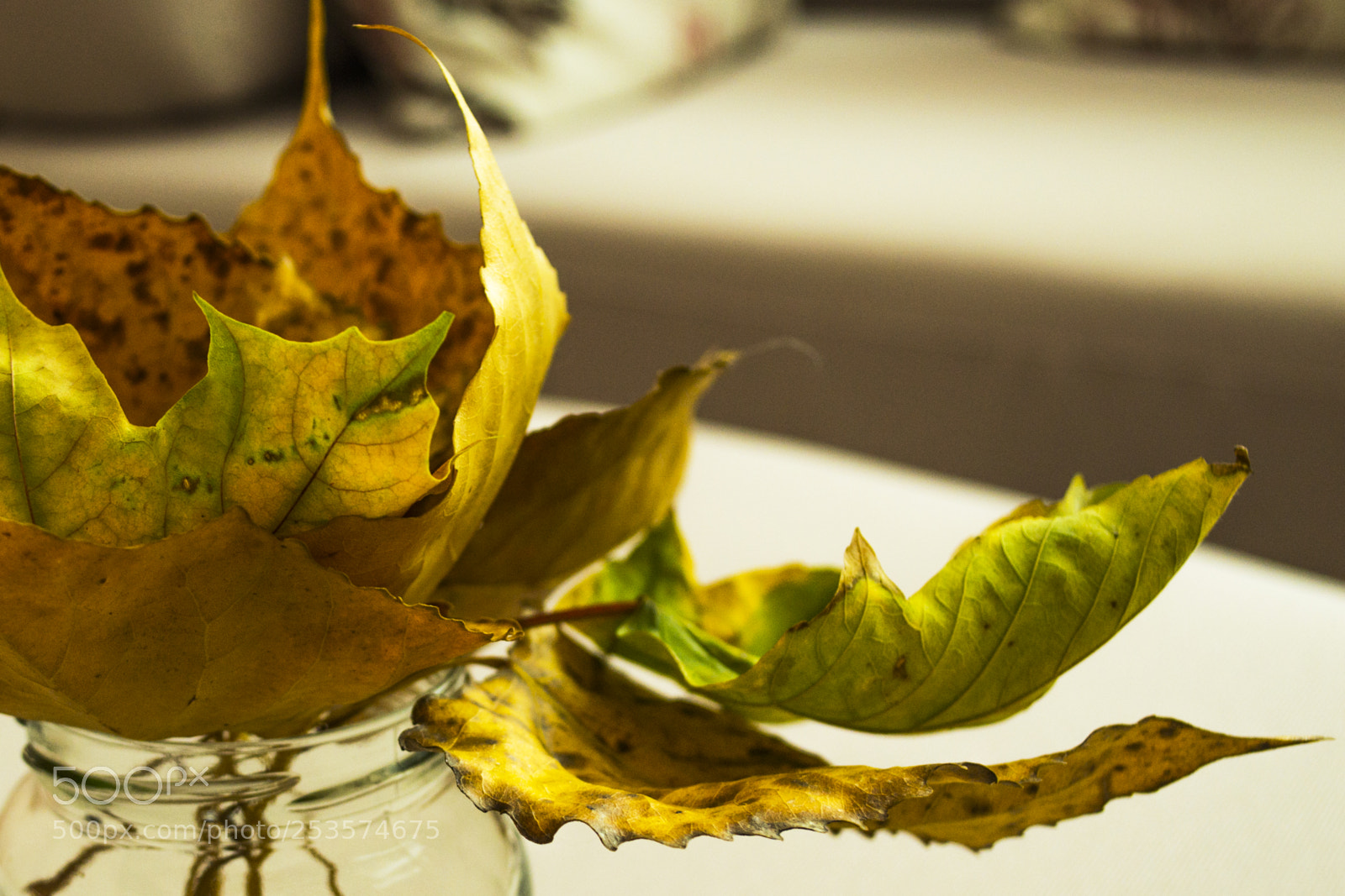 Nikon D3100 sample photo. Dry autumn leaves arrangement photography