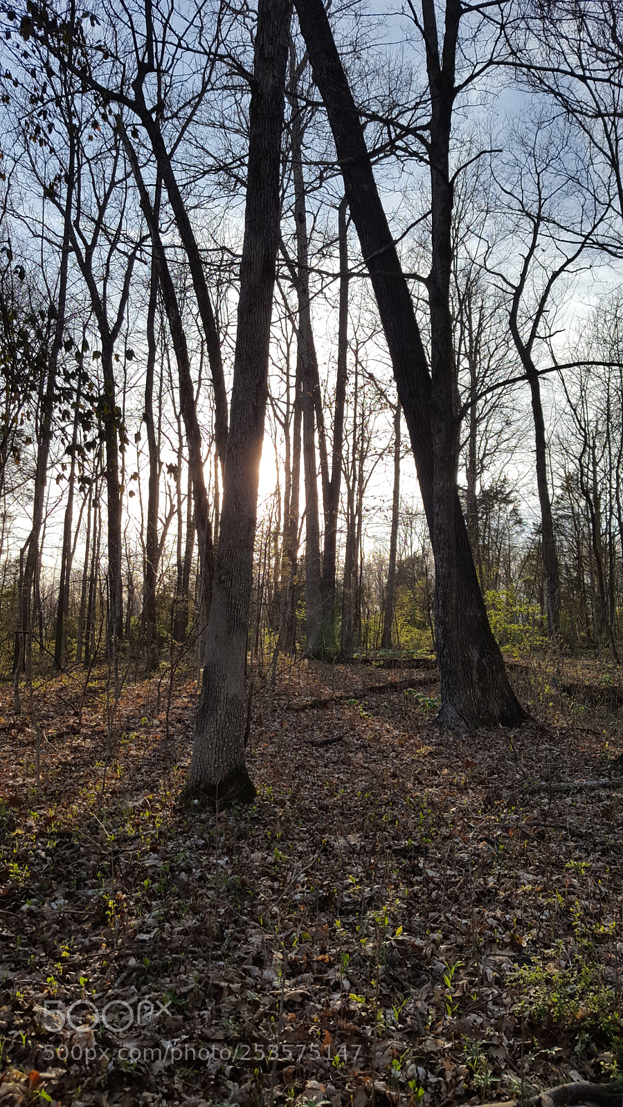Samsung Galaxy S6 sample photo. Light reveals photography
